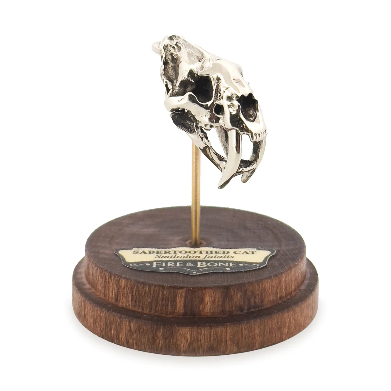 Sabertoothed Cat