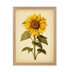 Sunflower Art Print